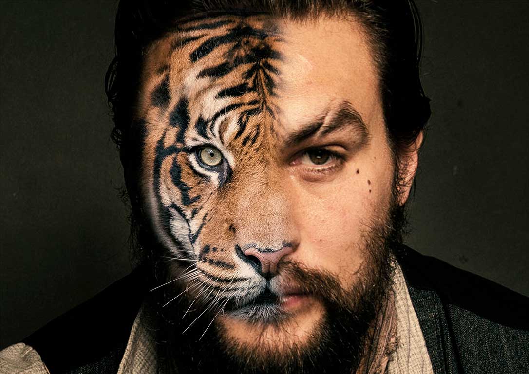 CMomoa-tiger